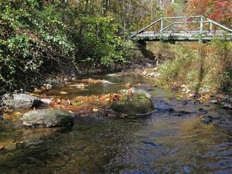 Trout Stream Wallpaper The Best Streams In