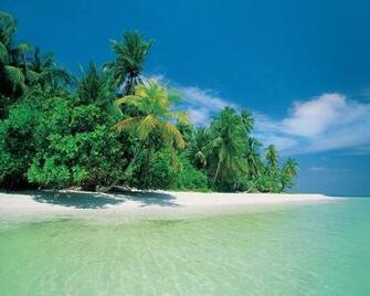Beach Nature Wallpaper Resolution My Earth