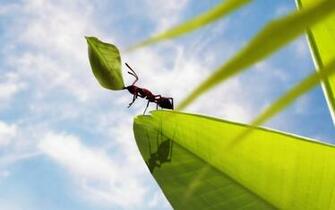 Tablet Pc Wallpaper Modern Screensavers For Lenovo Ideapad