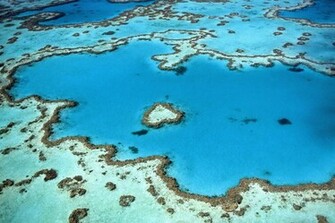 Great Barrier Reef Wallpaper