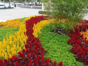 Wallpaper Flowers Gardens Background Nice