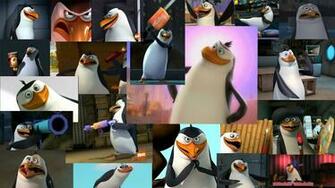 Rico Wallpaper The Penguins Of Madagascar