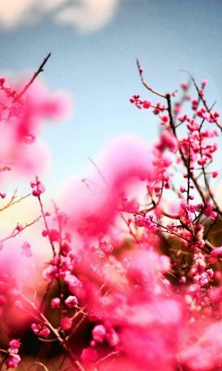 Best Blackberry Z10 Wallpaper