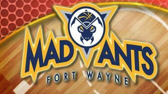 Mad Ants Comeback Falls Short Against Bayhawks