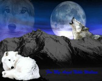 Wolf Background For Desktop Wolves Wallpaper
