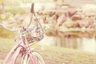 Pink Vintage Floral