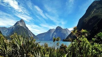 Lakes Light Blue Wildflowers Skies Milford Sound Wallpaper
