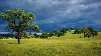 Open Fields Wallpaper
