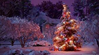 Christmas Winter Background