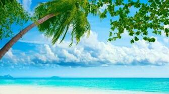 Beach Tropical Wallpaper