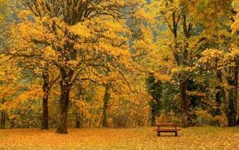 Abstract Computer Wallpaper Nature Scenes HD