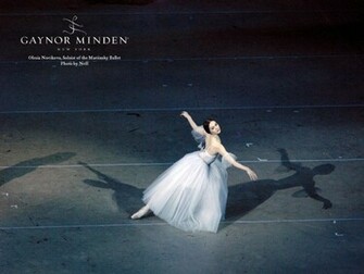 Ballet Shoes Wallpaper Box