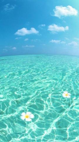 Hello Summer Wallpaper For Mobile Phone Tablet Desktop Computer