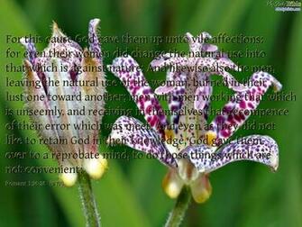 Christian Wallpaper Of Romans Make