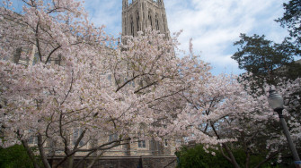 Duke University Wallpaper