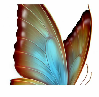 Schmetterling Butterflies In Memory Of Sissy