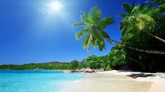 Wallpaper Beach Sand Palm Trees Tropical 4k Ultra HD