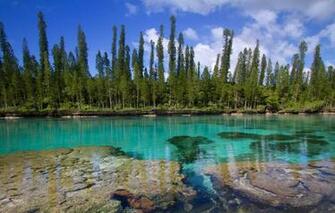 Wallpaper The Pacific Ocean New Caledonia Isle Of Pines Image