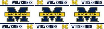 Michigan Wolverines Logo Wallpaper Weddingdressin
