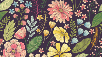 Assorted Color Flowers Illustration Pattern HD Floral Wallpaper