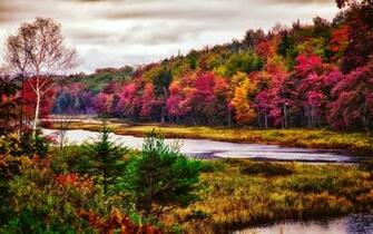 Nature Landscape Trees River Fall Forest Colorful