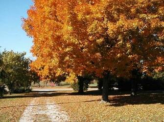 Autumn In Indiana Return To