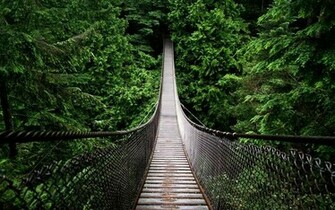 Wallpaper For Amazon Rainforest HD Amazing Places