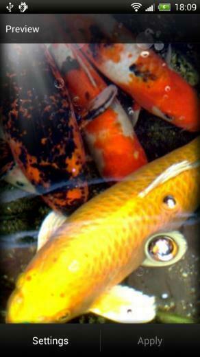 Koi Fish Live Wallpaper Screenshot Thumbnail