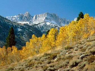 Nature Wallpaper Gallery