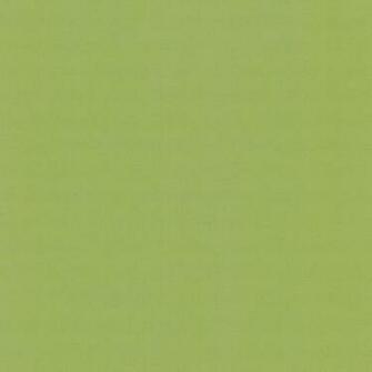 Paper Wallpaper Plain Green P S International Wish