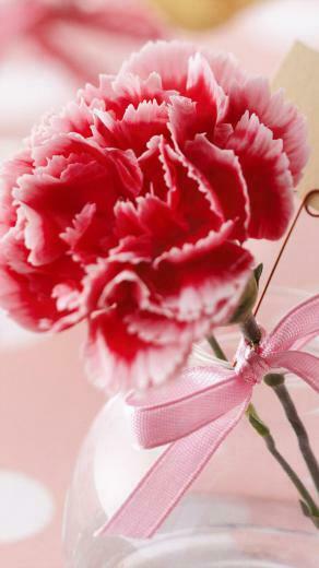 Valentine S Day Flower Pure 4k Ultra HD Mobile Wallpaper