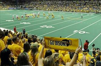 Ndsu Bison Wallpaper Homecoming