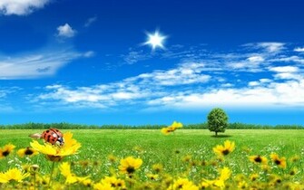 Beautiful Fantasy World Wallpaper HD