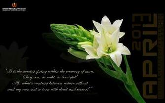 Wallpaper Spring April Fool