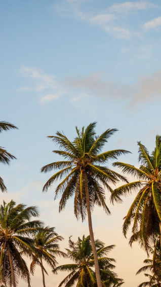 California Aesthetic Wallpaper