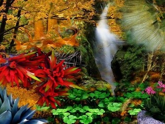 Sun Shines Beautiful Flower Garden Wallpaper