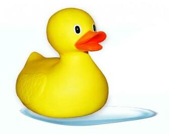 Cool Rubber Ducks For