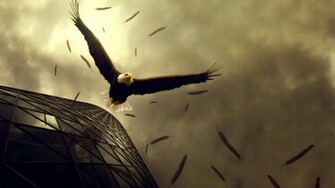 Flying Bald Eagle Wallpaper