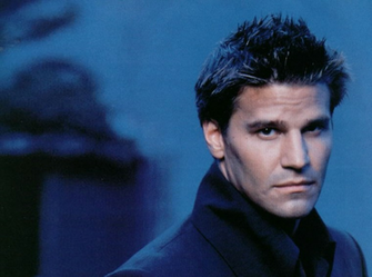 Angel David Boreanaz Wallpaper Weddingdressin