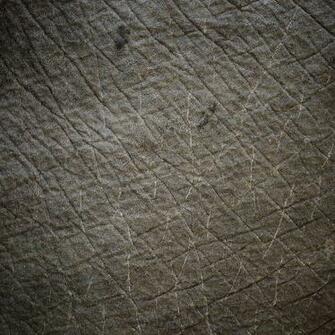 Elephant Skin Texture