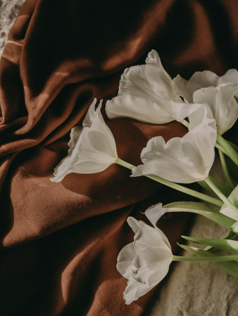 Brown Aesthetic Pictures Image