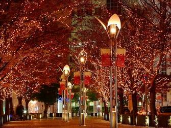 Christmas Lights Display Wallpaper No Desktop