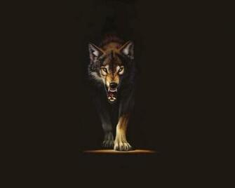 Wolf Desktop Background Pictures