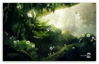 Guild Wars HD Wallpaper For Standard Fullscreen Uxga Xga