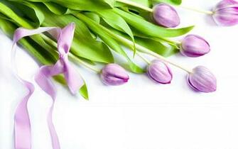 Purple Tulips Wallpaper Flower