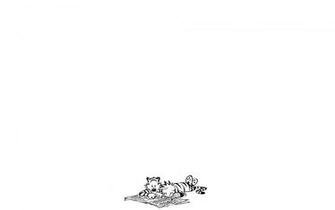 Comics Calvin Hobbes And Wallpaper