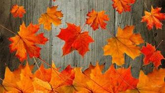 Fall Wallpaper For Desktop