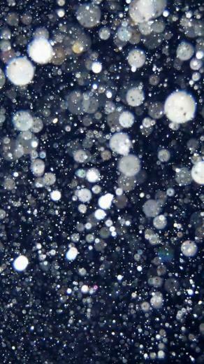 Glitter iPhone Wallpaper HD Walls Find