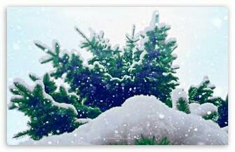 Let It Snow HD Wallpaper For Standard Fullscreen Uxga Xga Svga