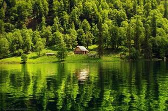 Wallpaper Forest Lake Cabin Landscape Desktop